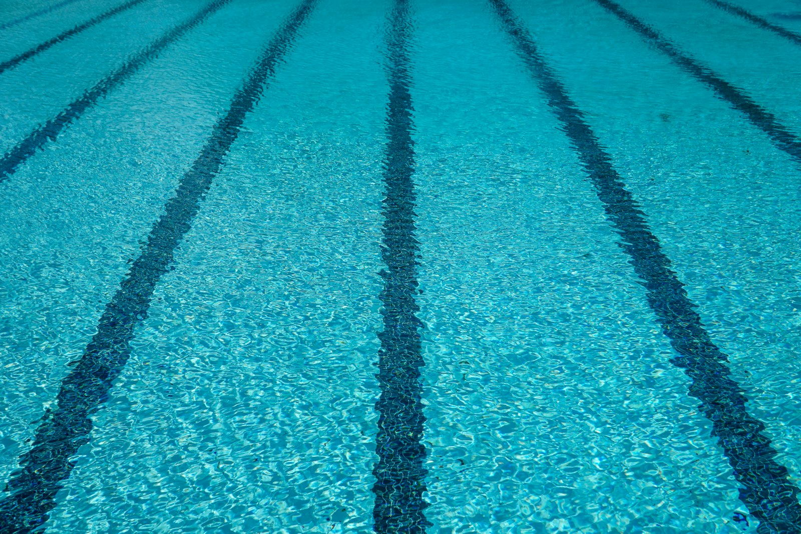 A summer swimming pool, the subject of common myths about teeth and chlorine