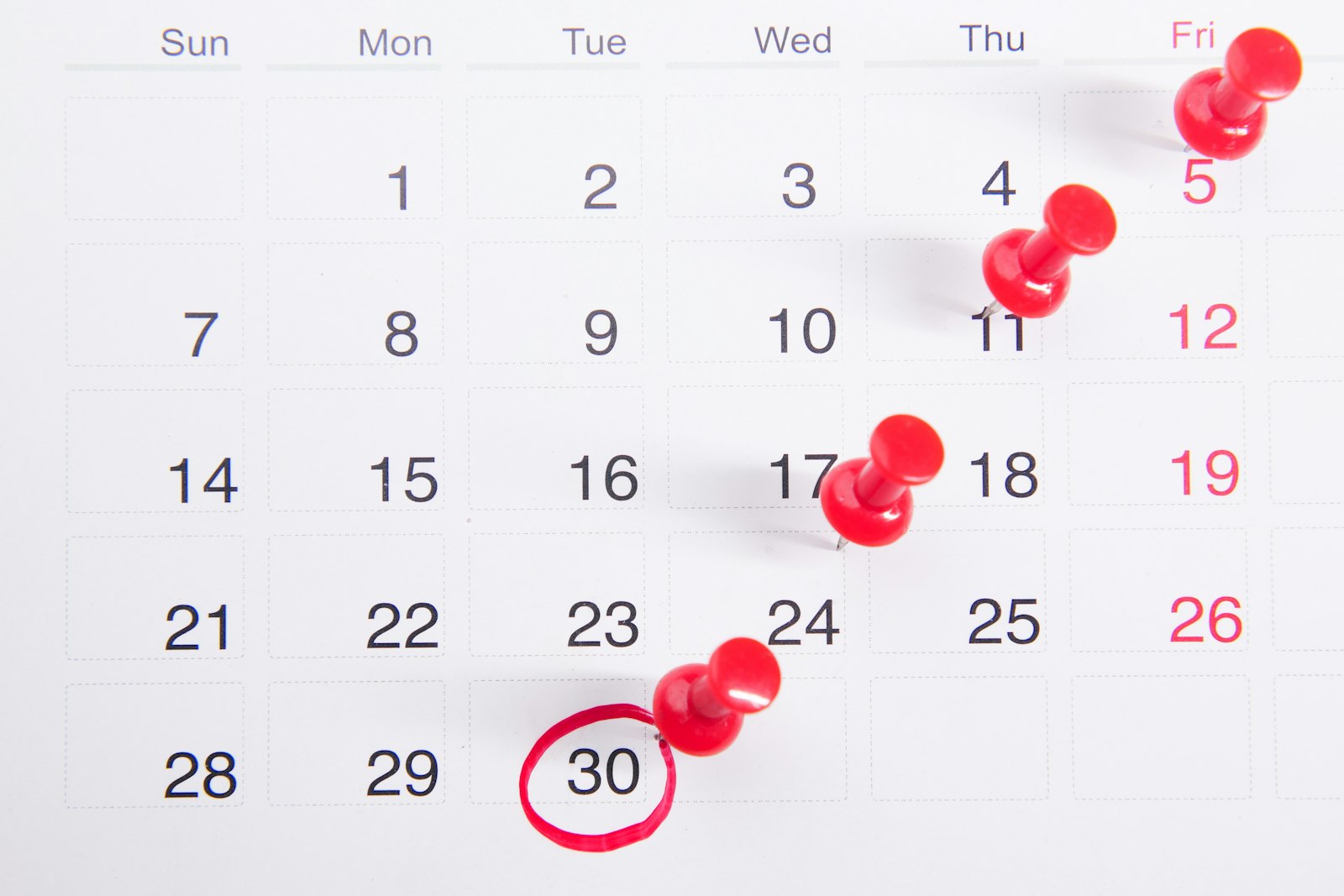 Planning the timing of dental implant treatment in Cambridge MA